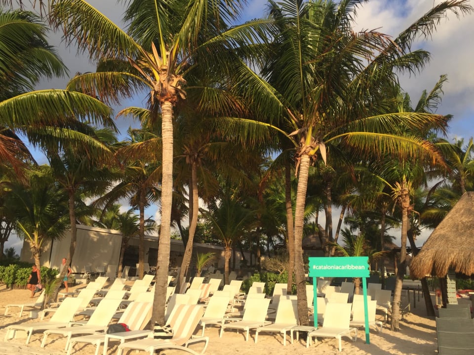 Liegebereich Privileged Catalonia Royal Tulum Beach & Spa Resort - Adults only