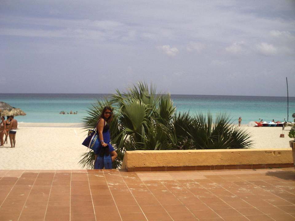 Zum Strand Starfish Cuatro Palmas