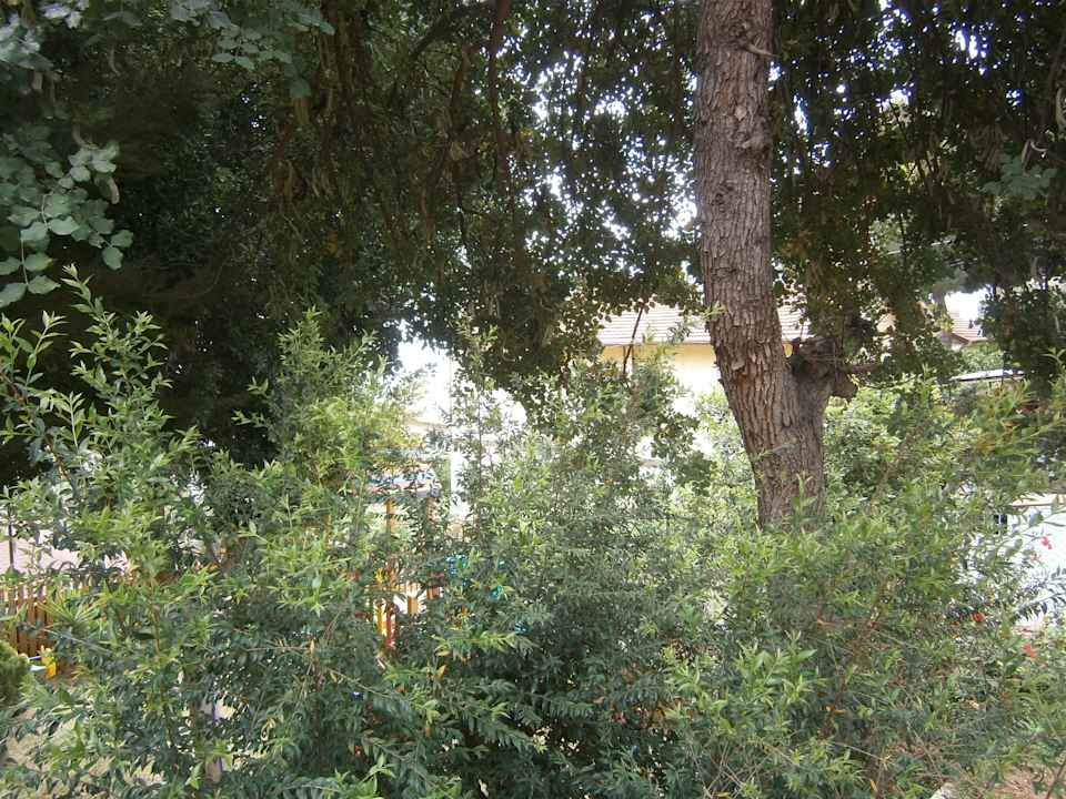 Im Garten La Finca Marina