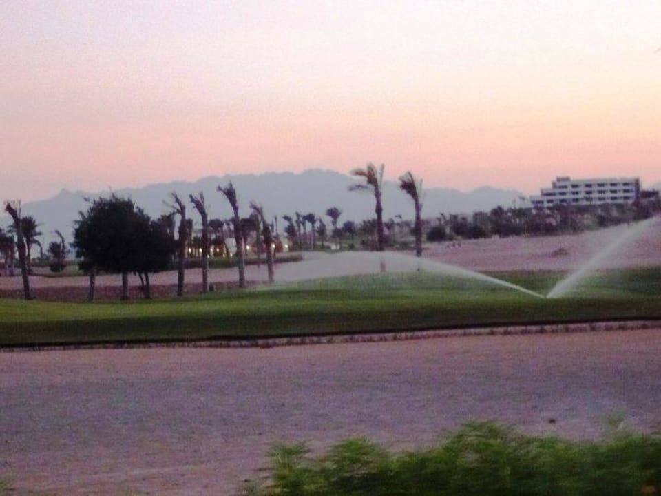 Pole golfowe Jaz Makadi Saraya Resort