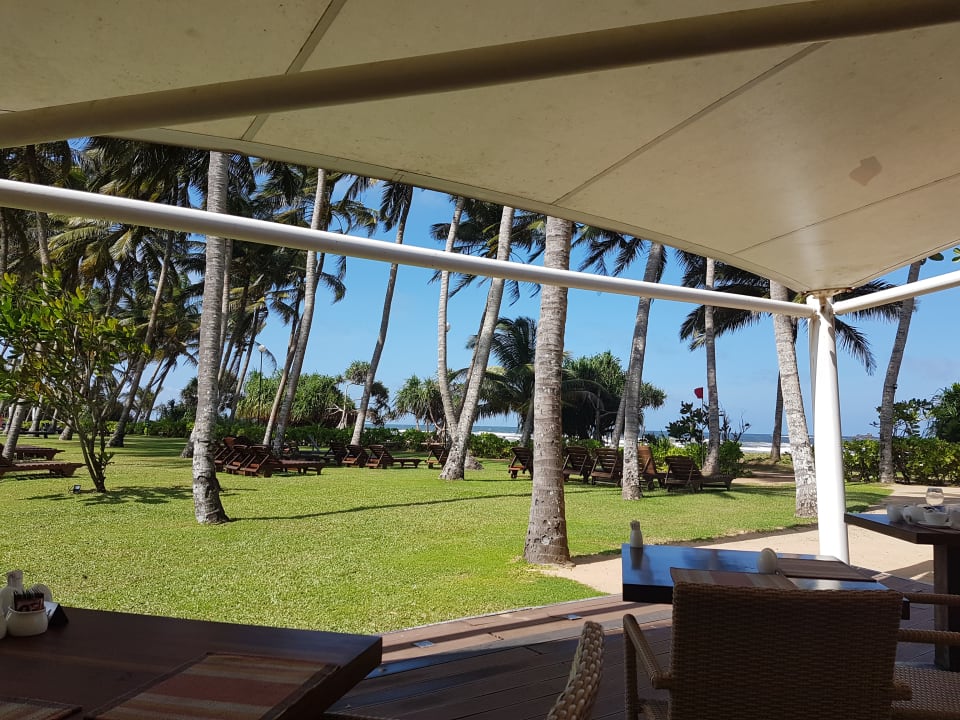 Gartenanlage Thaala Bentota