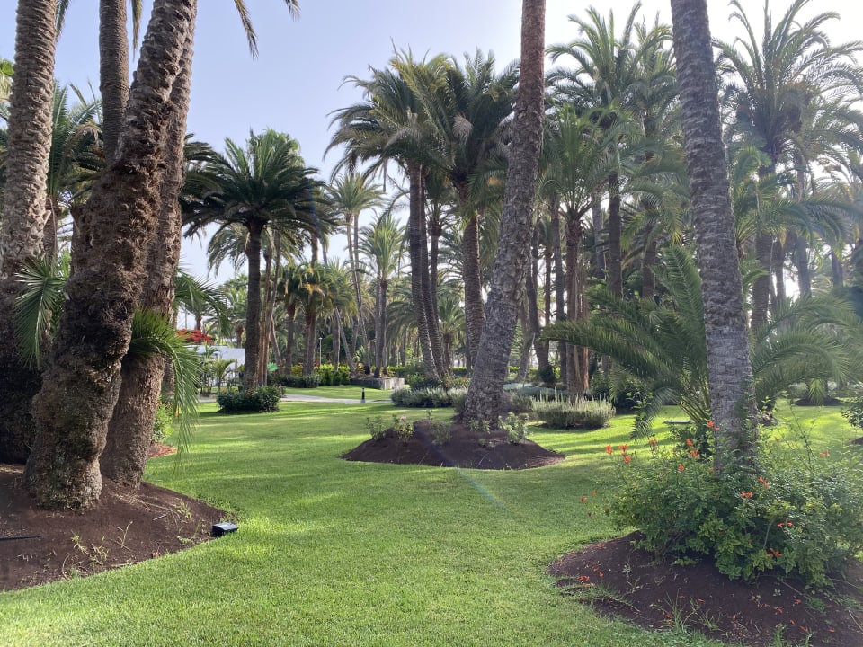 Gartenanlage Hotel Riu Palace Oasis