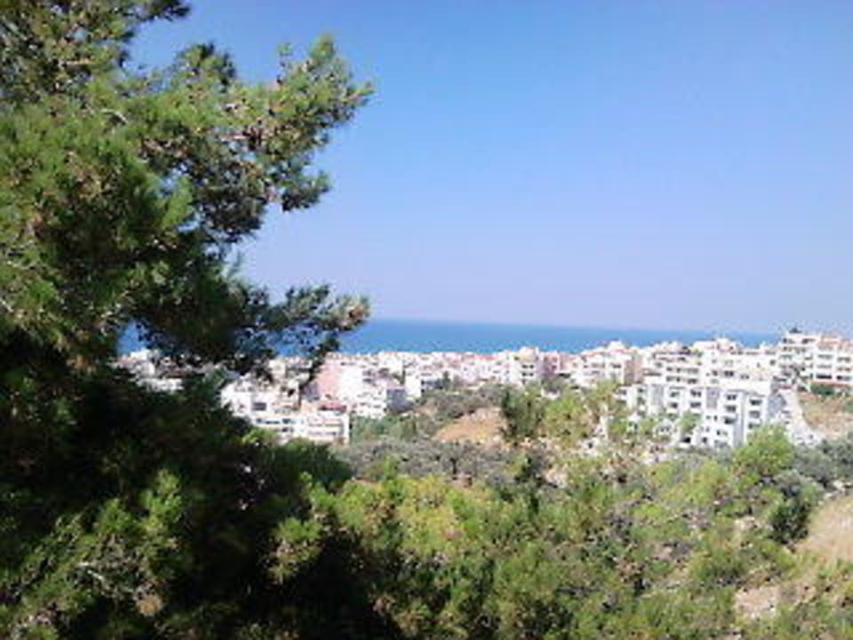 Blick auf das Meer Hotel Forest Park