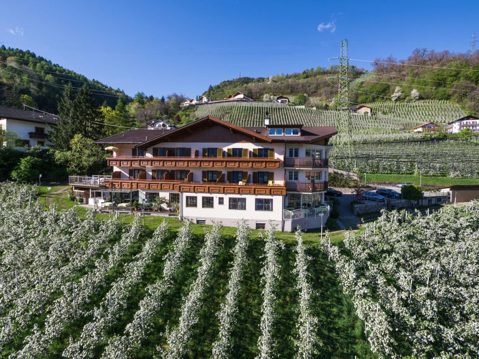Hausansicht Panorama Hotel Garni Bühlerhof
