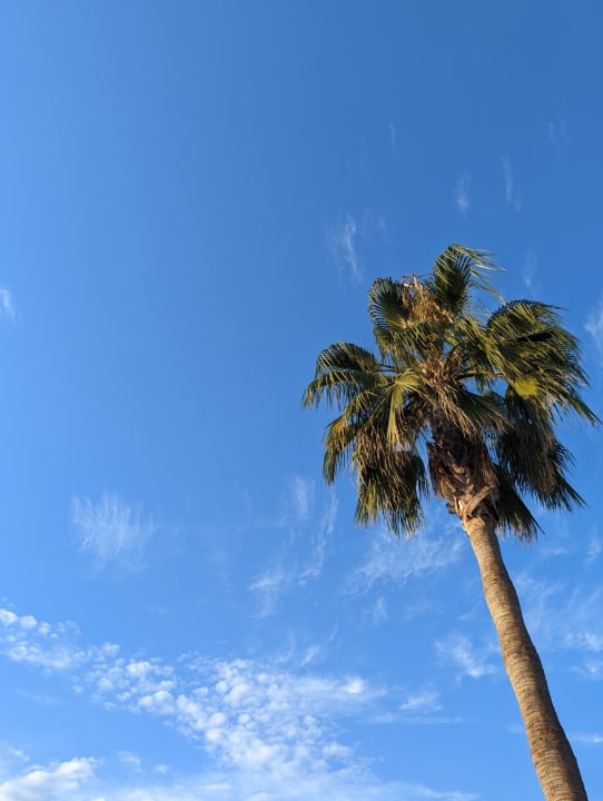 Gartenanlage Belek Beach Resort Hotel