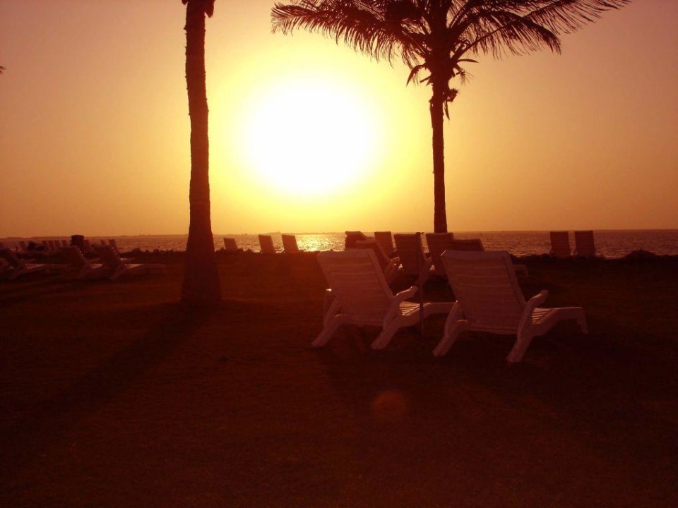 Jebel Ali Hotel Dubai JA Beach Hotel