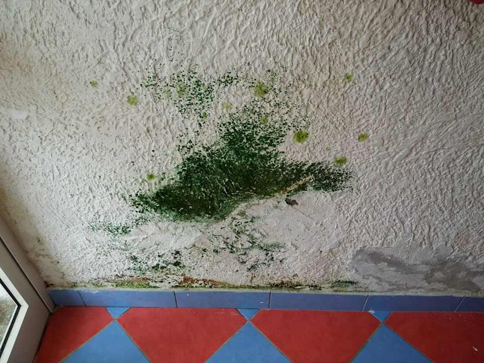 Schimmel im Flur Hotel Marina Club