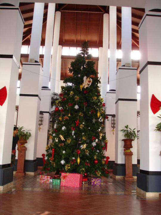 Lobby/Rezeption TUI MAGIC LIFE Fuerteventura