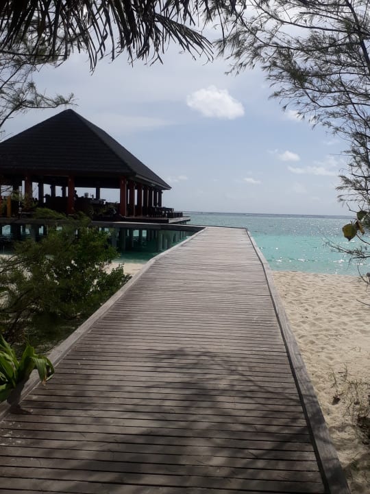 Gastro Summer Island Maldives