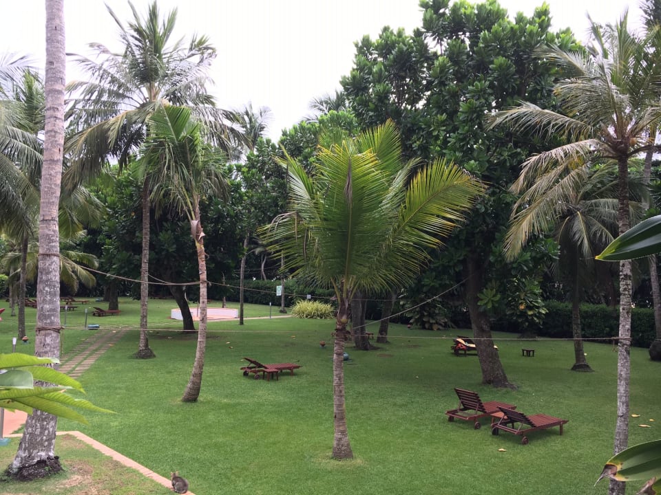 Gartenanlage Hotel Lanka Princess Ayurveda