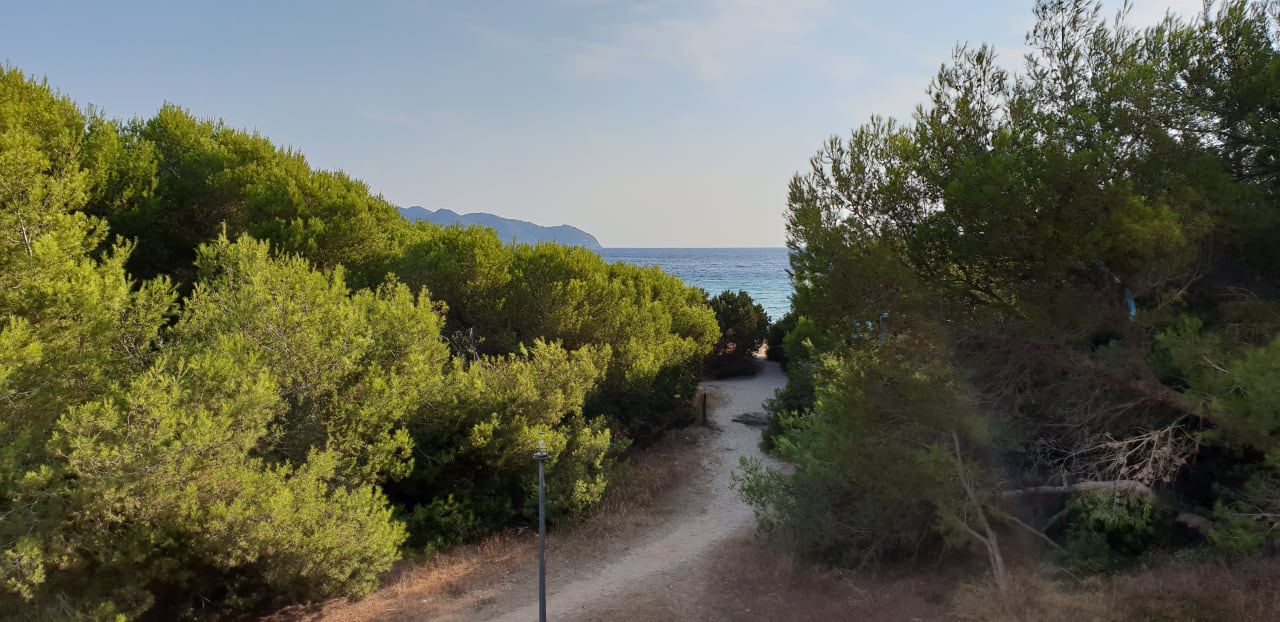 Gastro Hipotels Bahía Cala Millor