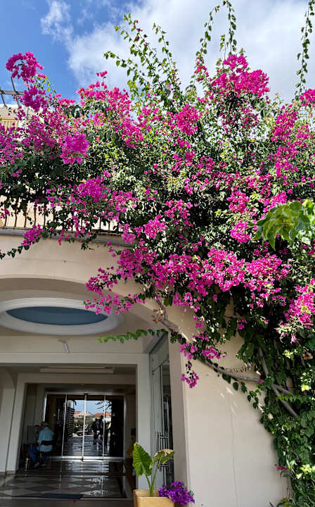 Ausblick Lindos Imperial Resort & Spa