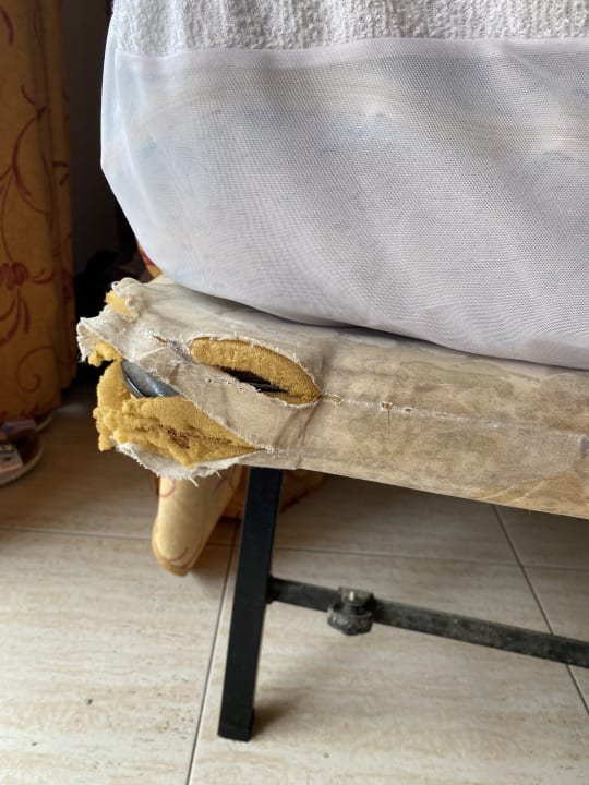 Zimmer htop Royal Star