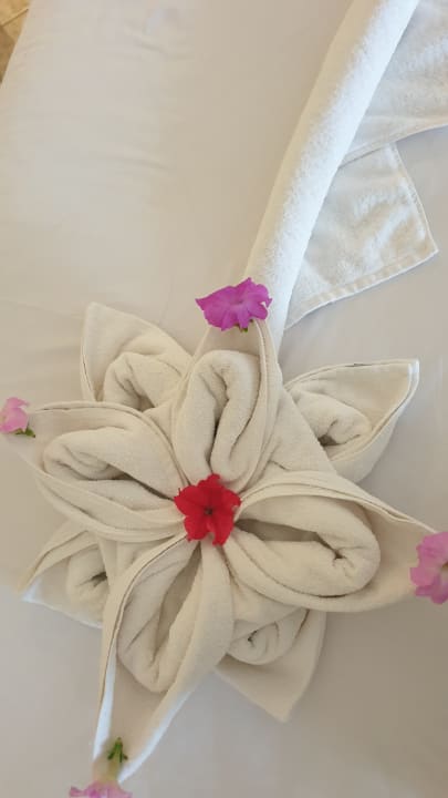 Zimmer Casa Mare Resort