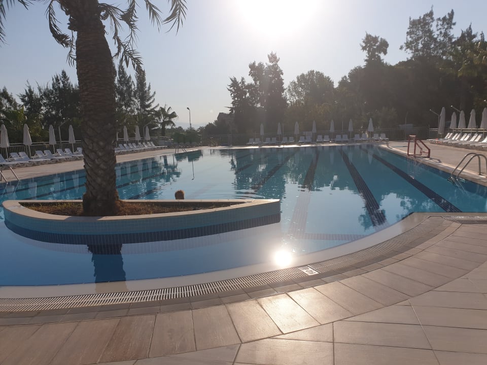 Pool Club Sidelya Hotel