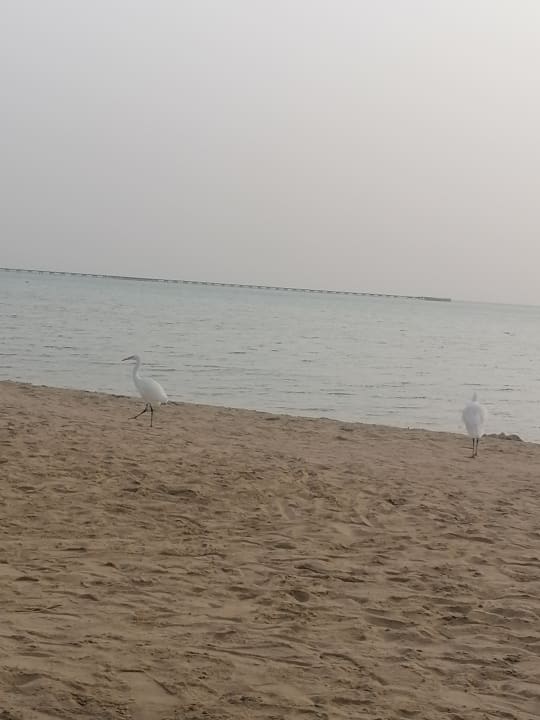 Strand Casa Mare Resort