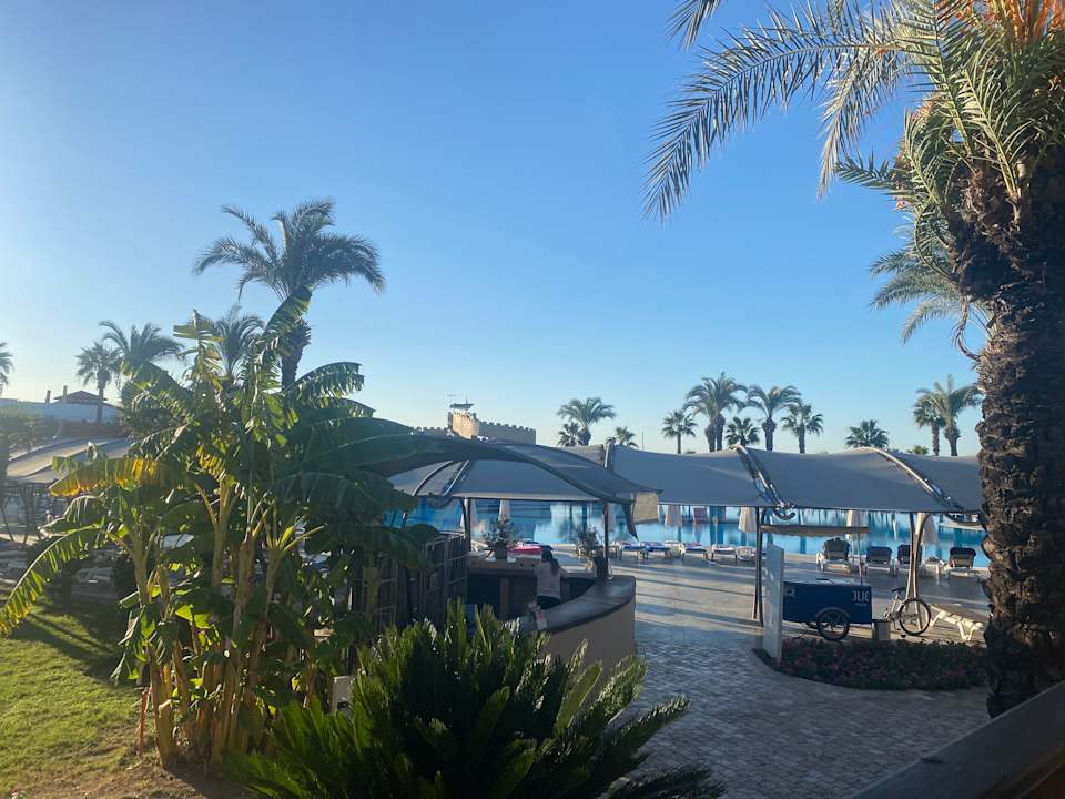 Ausblick TUI BLUE Palm Garden