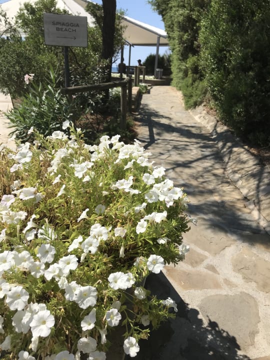 Gartenanlage Riva del Sole Resort & SPA