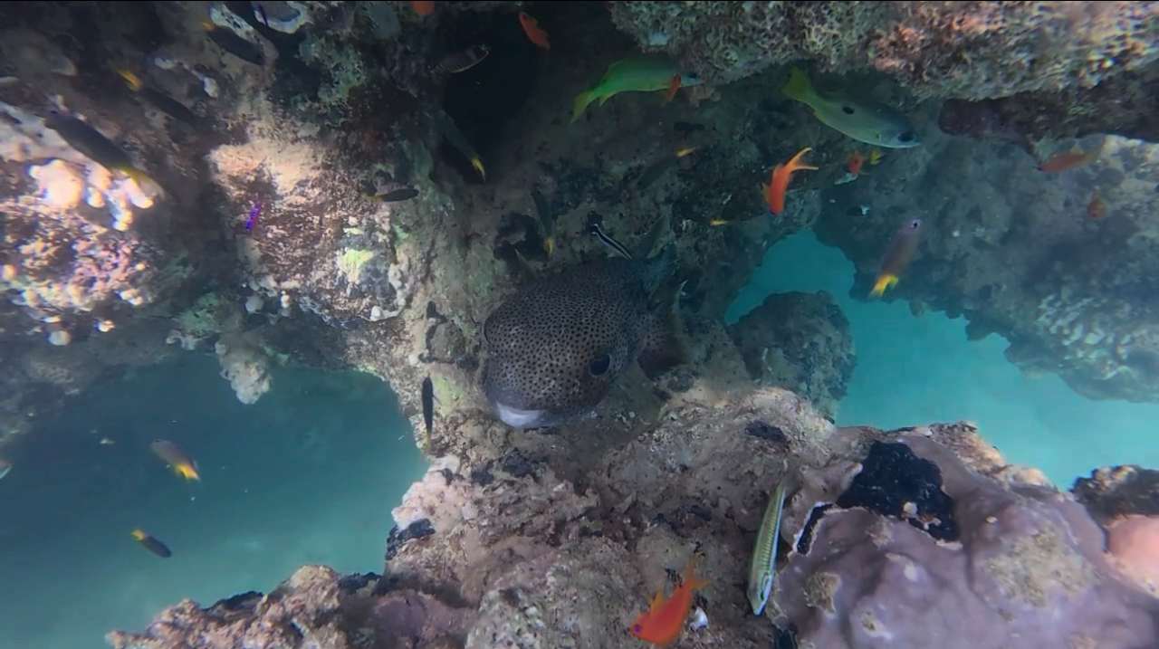 Strand Lahami Bay Beach Resort