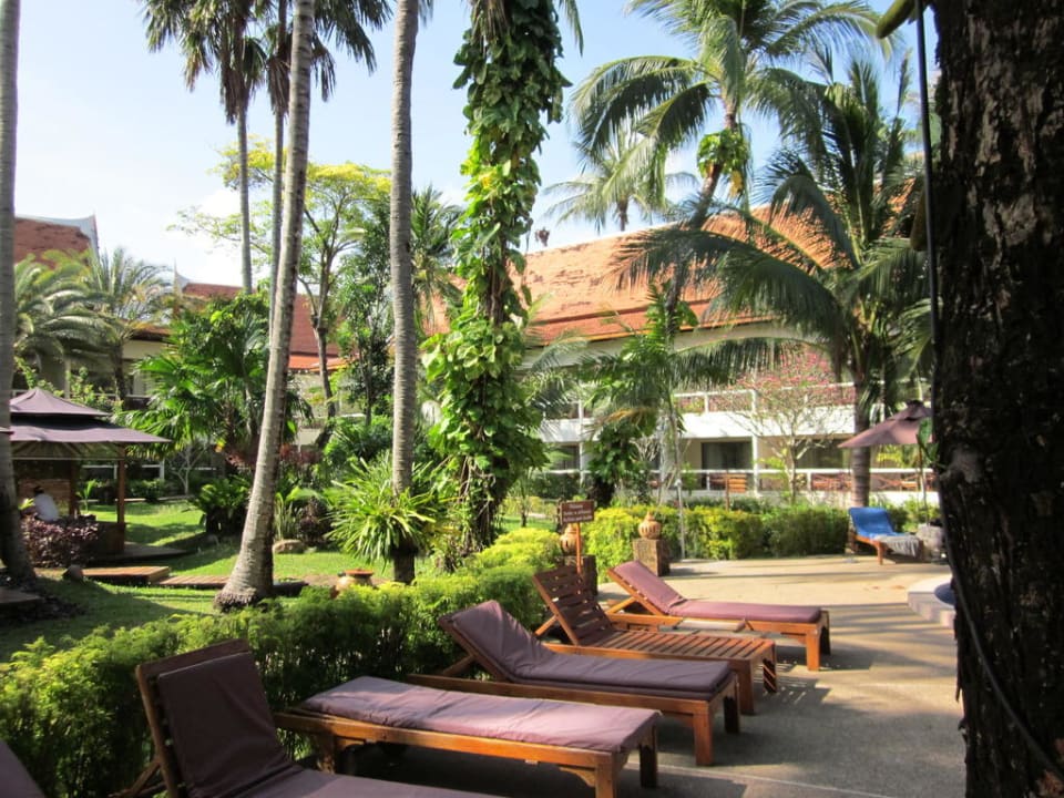 Blick vom Pool zum Garten Hotel Chaweng Blue Lagoon Resort