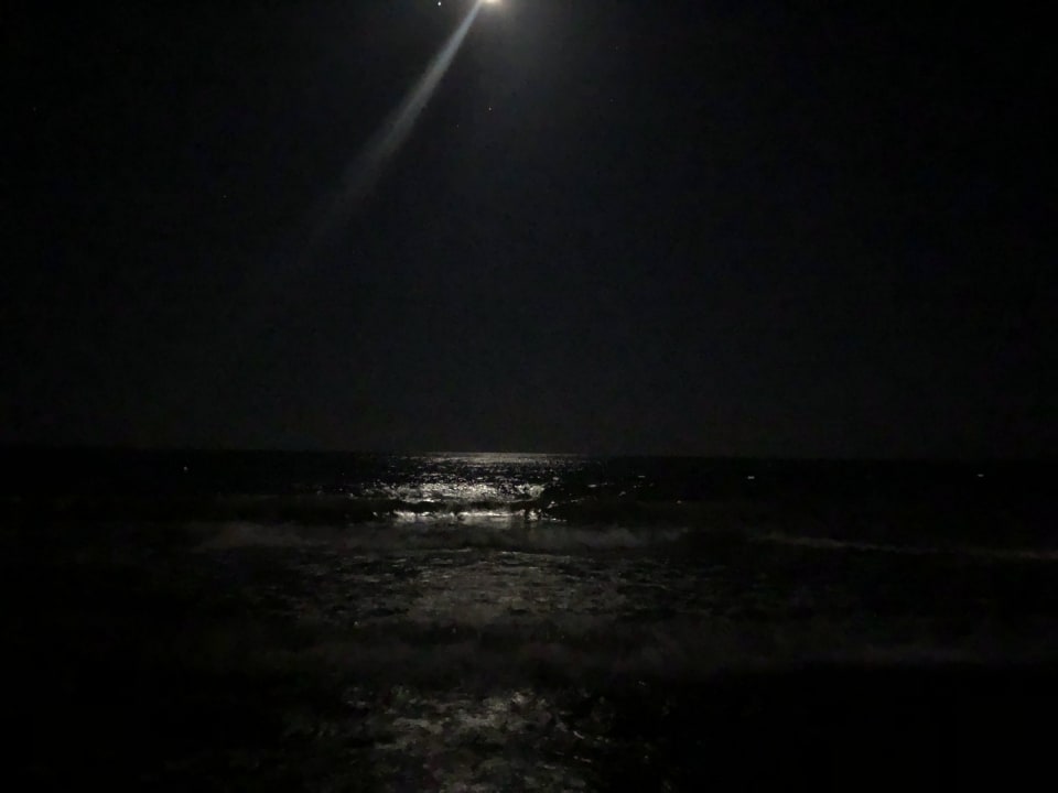 Strand Aydinbey Kings Palace & Spa