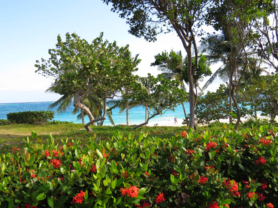 Gartenanlage Sol Rio De Luna y Mares