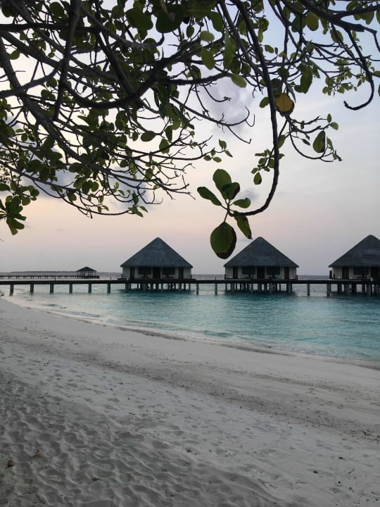 Strand Adaaran Select Meedhupparu Island Resort - Premium All Inclusive