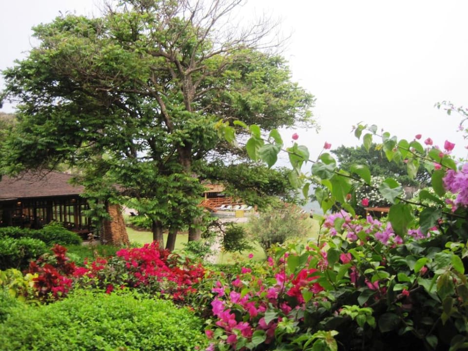 Blick vom Balkon Manyara Wildlife Safari Camp
