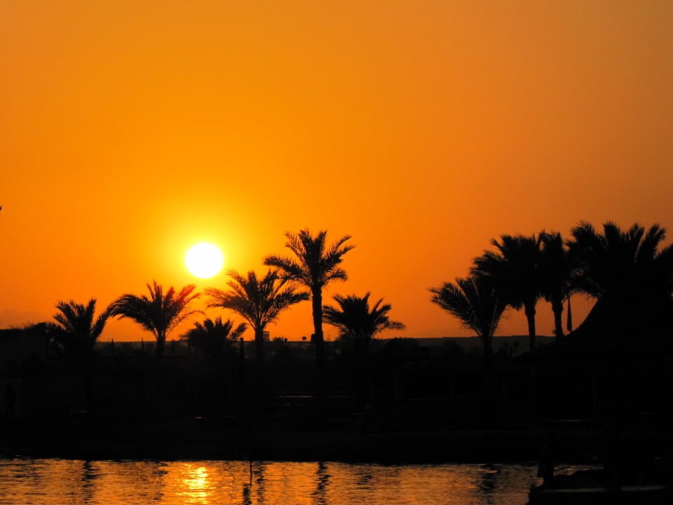 Traumhaft... Desert Rose