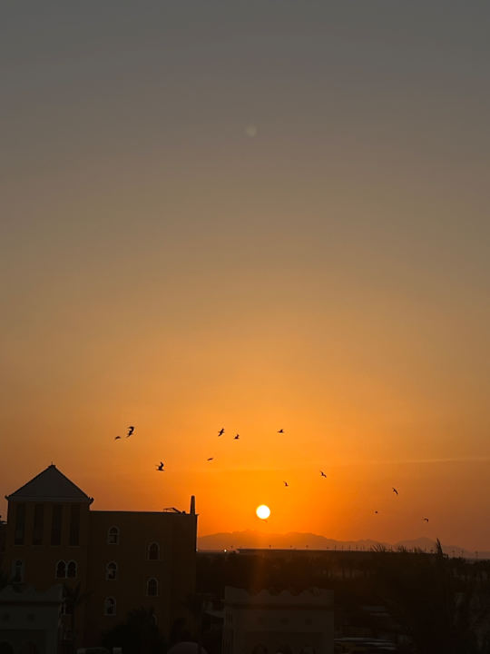 Ausblick The Grand Palace - Adults only