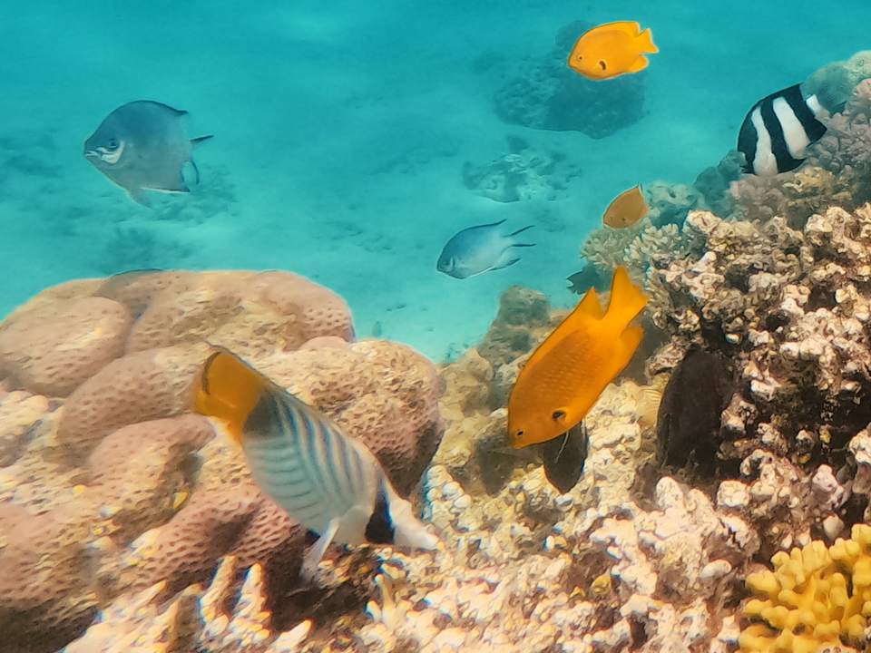 Strand ROBINSON SOMA BAY