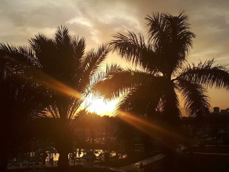 Sonnenuntergang Pickalbatros Dana Beach Resort - Hurghada