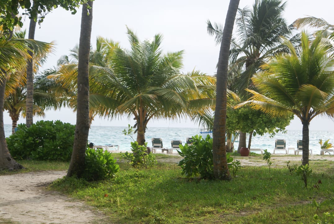 Blick auf den Strand Meeru Maldives Resort Island