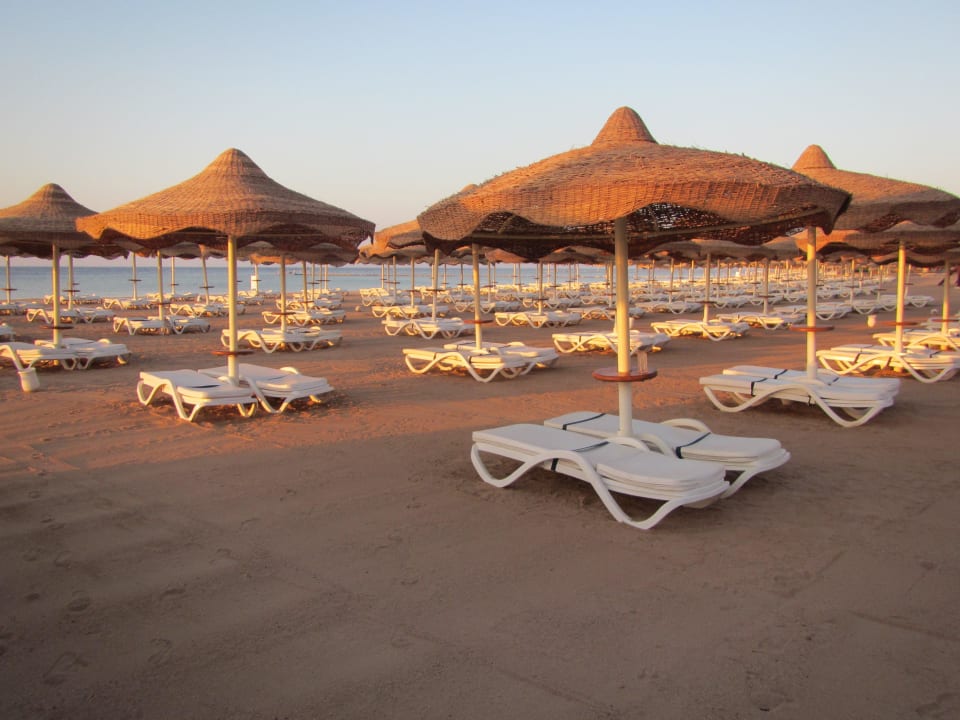 Пляж утром Hotel Baron Palms Sharm El Sheikh