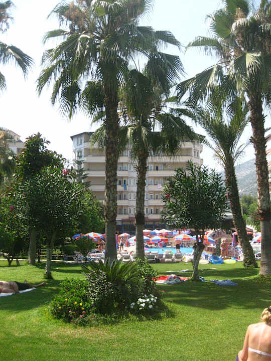 Blick aufs Hotel aus dem hinteren Garten Hotel Elysee Garden