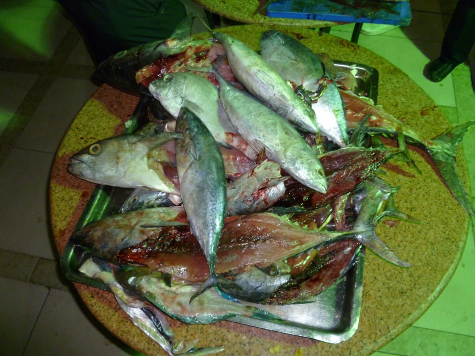 Frischer Fisch Beach Albatros Resort