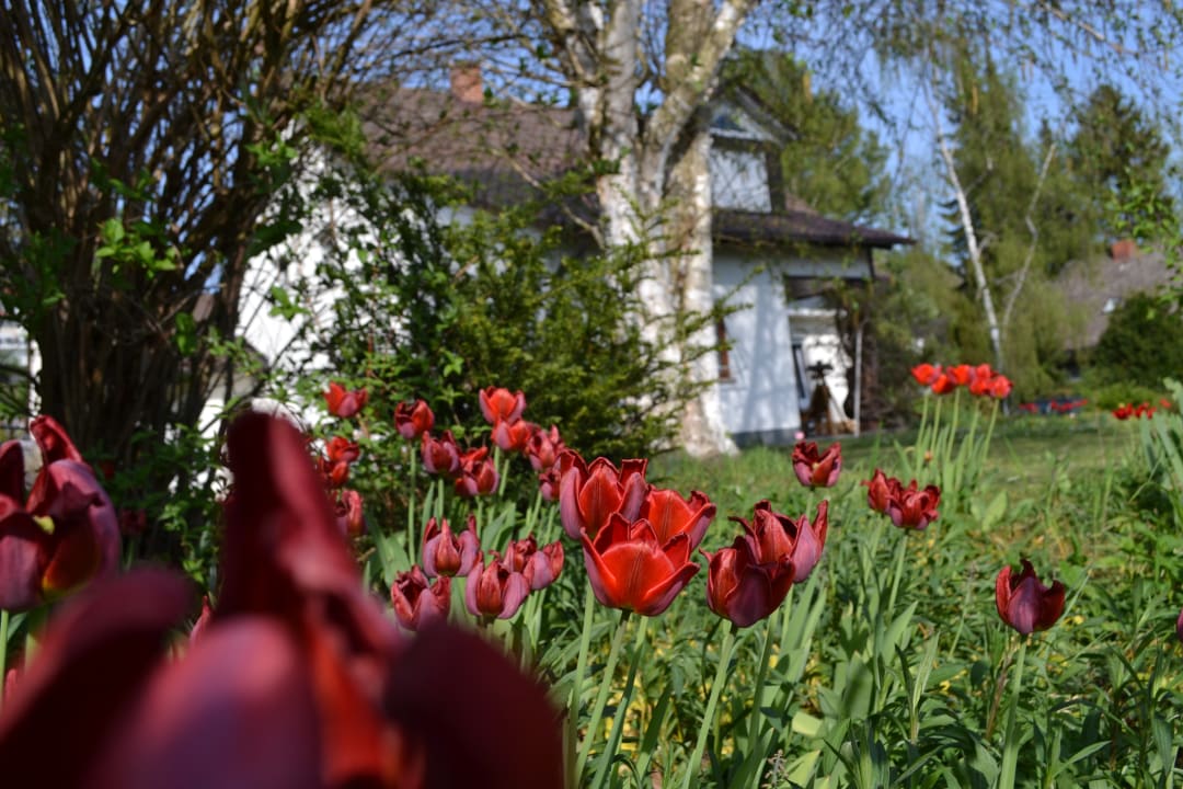 Gartenanlage Ferienwohnung Seeliebe