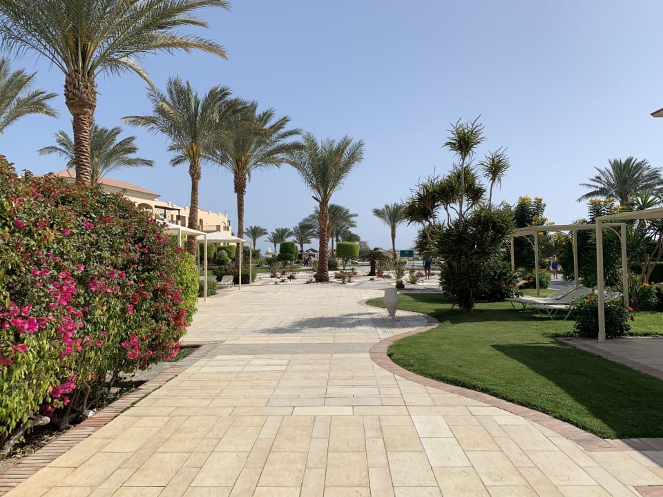 Gartenanlage JAZ Aquamarine Resort