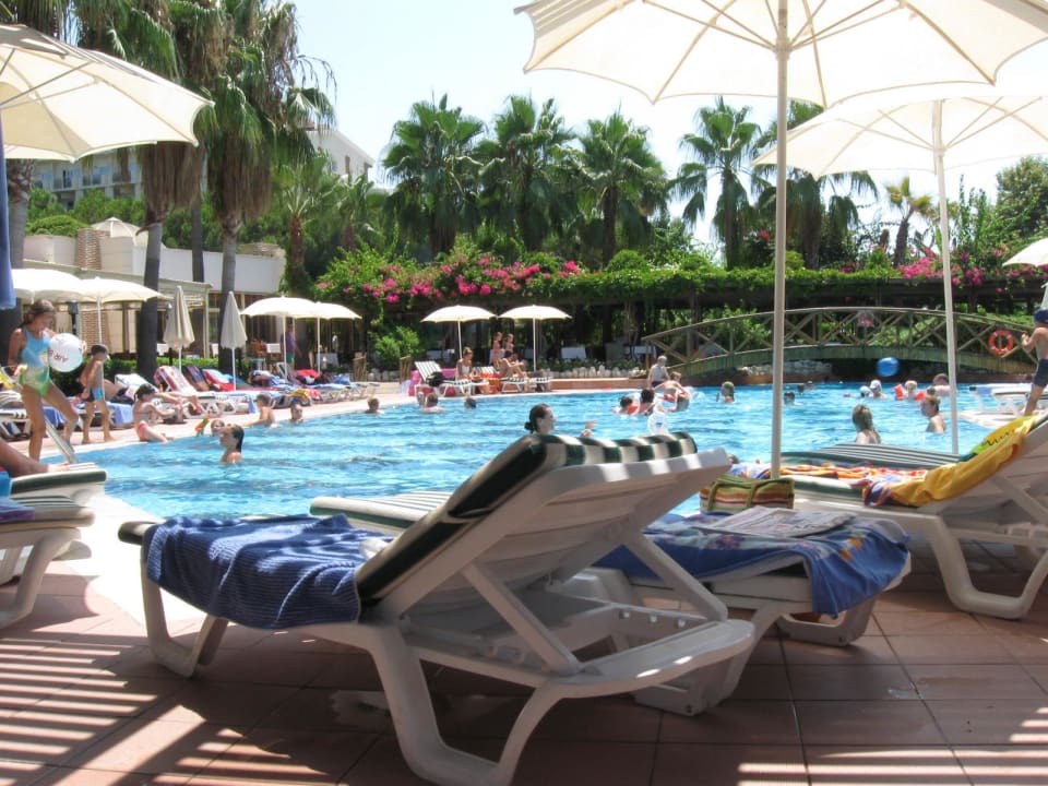 Pool tagsüber Trendy Palm Beach (Adults Only, 16+)
