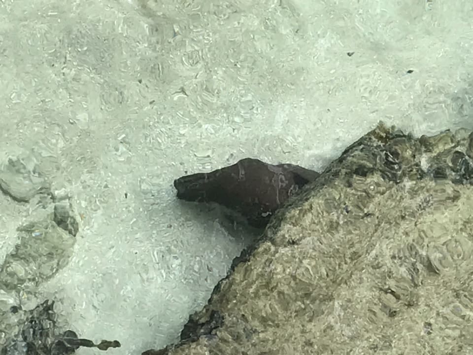 Strand Kurumba Maldives