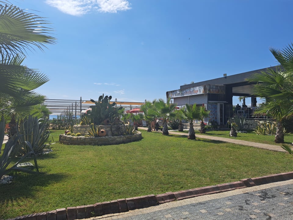 Gartenanlage Dream World Palace Hotel