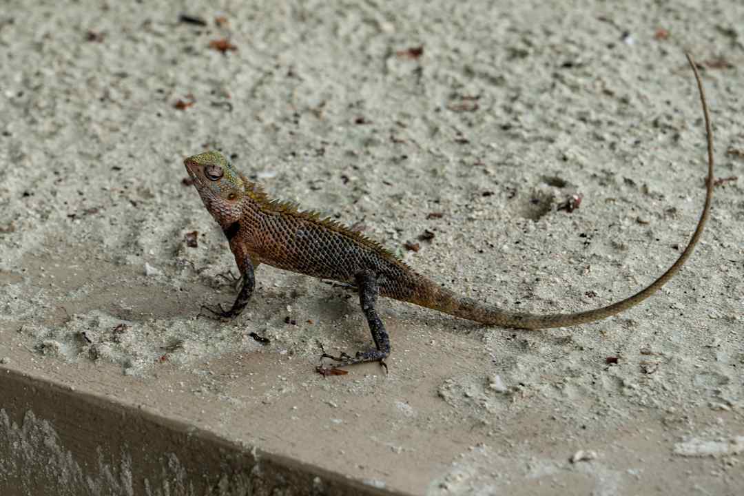 Sonstiges AYADA Maldives