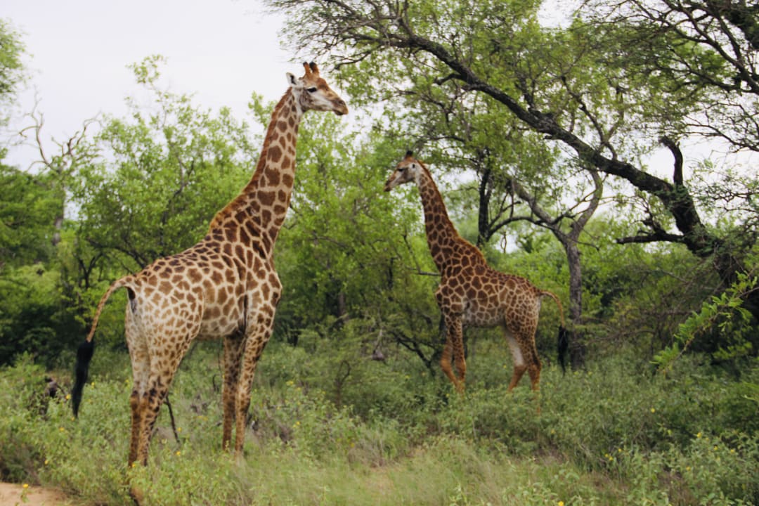 Sport & Freizeit Vuyani Lodge