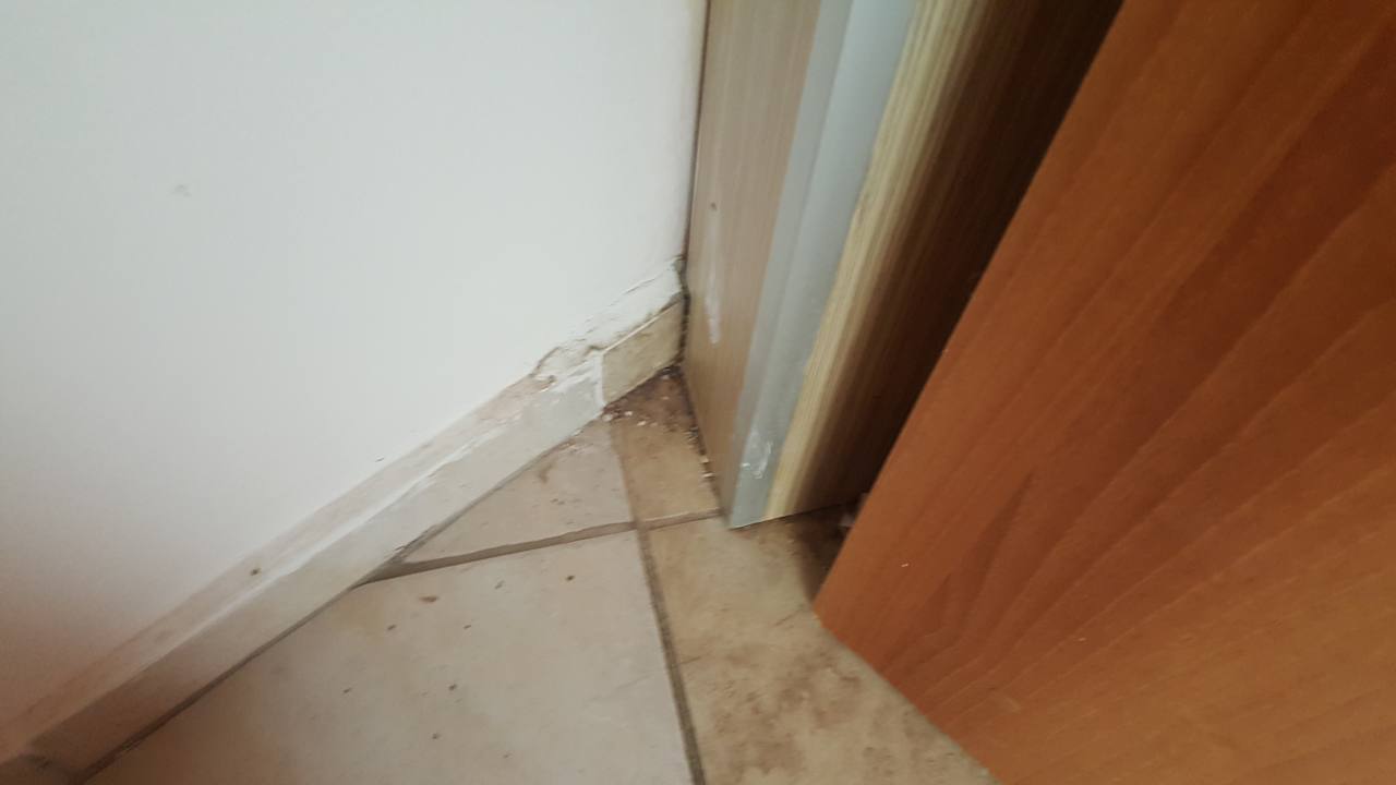 Zimmer Hotel Kleopatra Develi