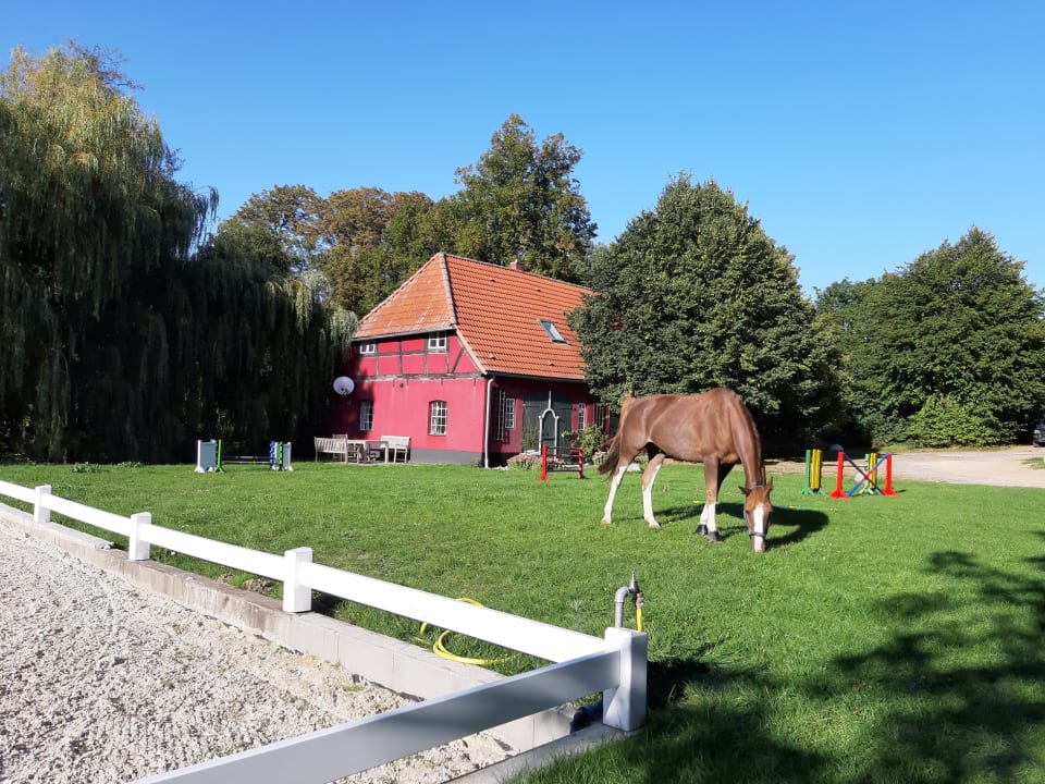 Außenansicht Ferien & Pferdehof Gut Klein Nienhagen
