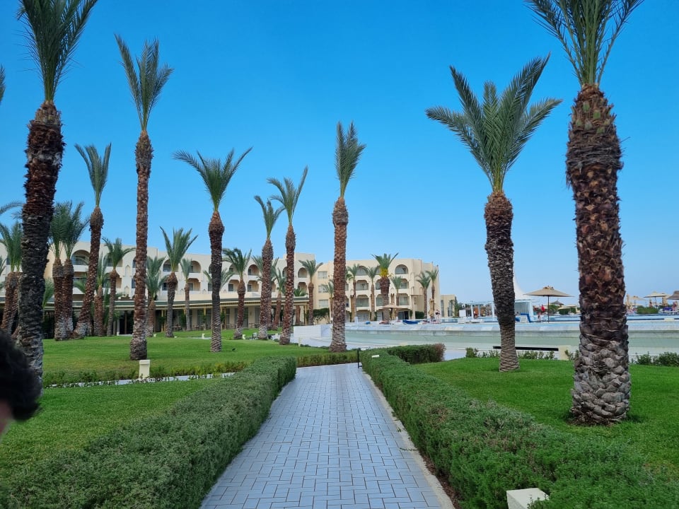 Gartenanlage Iberostar Waves Averroes