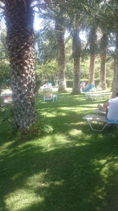 Grüne Gartenanlage  Apollonia Beach Resort & Spa