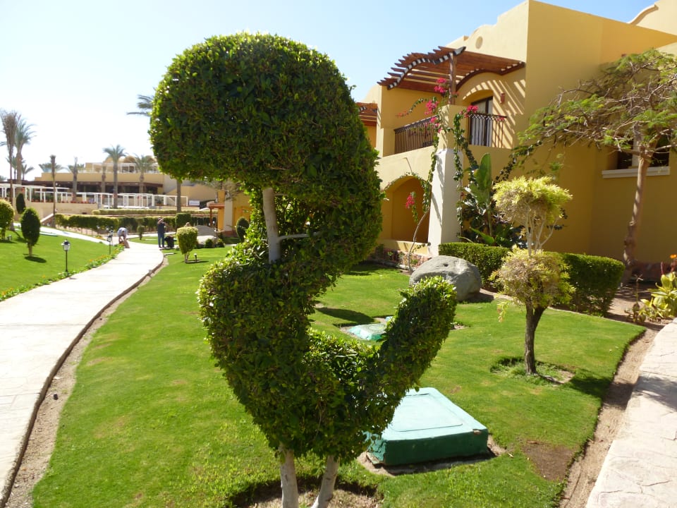 Gartenanlage Jaz Solaya