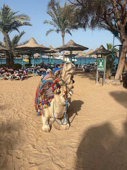 Sonstiges Bella Vista Resort Hurghada