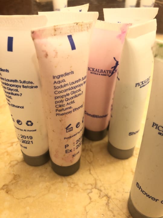 Zimmer Pickalbatros Citadel Resort